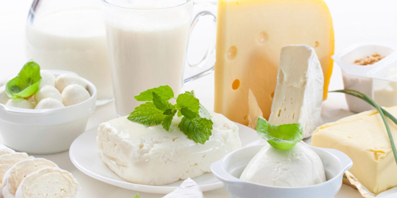 Por que utilizar mangueira atóxica na indústria de alimentos?