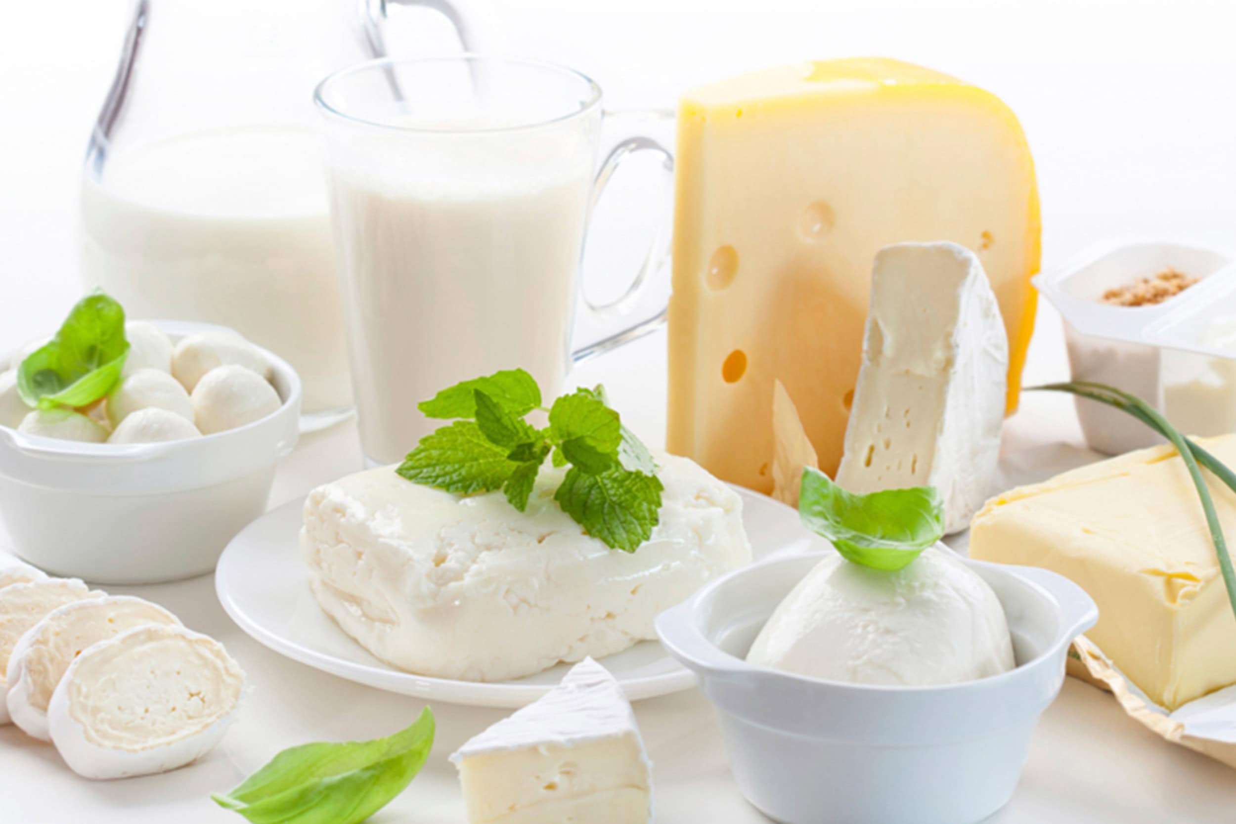 Queijo, laticínios e produtos derivados de leite em mesa com utensílios de inox, promovendo durabilidade e higiene em alimentos.